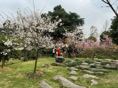 -南山植物园