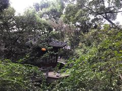 -复旦大学附属华山医院(总院)