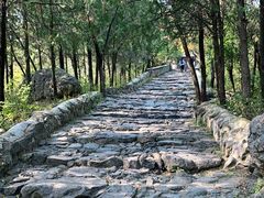 -北京鹫峰国家森林公园