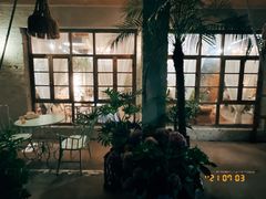 -Jo's Garden