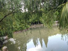 -瀛洲公园