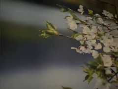 -蓉府金足印象(望江店)