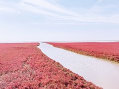-红海滩国家风景廊道