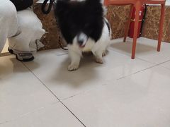 -美联众合24小时·皮肤科·外科·全科诊疗中心(华苑分院)