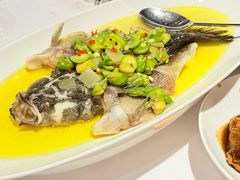 -南麓·浙里(外滩店)