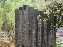 -重庆彩云湖湿地公园