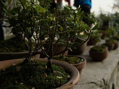 -天朝元辅-徐州民俗博物馆