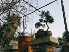 -西苑公园