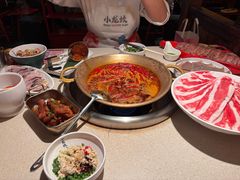 -小龙坎火锅(全球旗舰店)