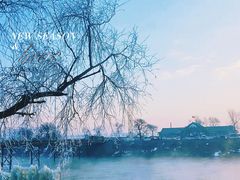 -雾凇岛