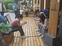 -霸王茶姬(正佳广场店)