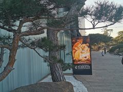 -罗红摄影艺术馆