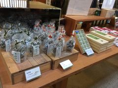 -中村藤吉(本店)