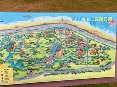 -上海滨江森林公园