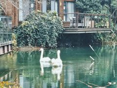 -杭州开元森泊度假乐园