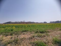 -西海岸生态观光园