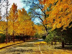 -中家鑫园温泉酒店鑫悦汤泉