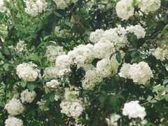 -大龙山(地铁站)