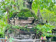 -西双版纳傣族园