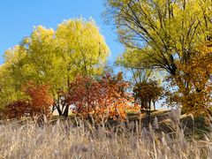 -野鸭湖国家湿地公园