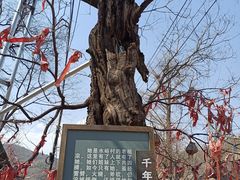 -水峪民俗村