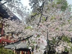 -庐山风景名胜区-东林大佛