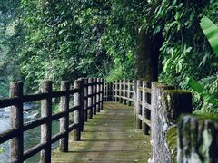 -广州市石门国家森林公园