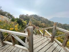 -大岭沟猕猴桃谷风景区