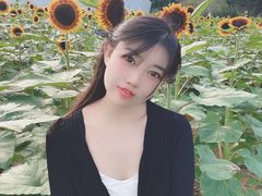 -野狸岛