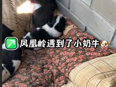 -北京凤凰岭