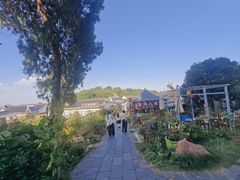 -巢湖姥山岛