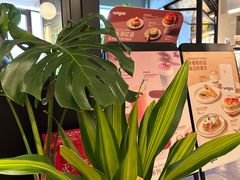 -Wagas沃歌斯(枫蓝国际店)