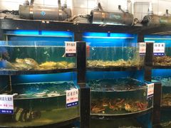 水产区-莆鑫海鲜城(浏河店)