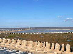 -南汇嘴观海公园