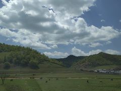 -关山草原