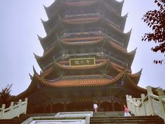 -铁山坪森林公园