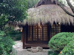 -中国茶叶博物馆(双峰馆区)