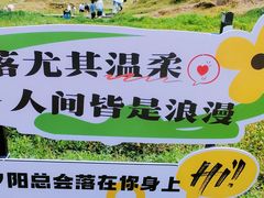 -仰天湖大草原