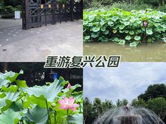 -复兴公园