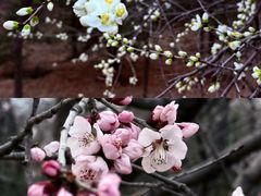 -绿堤公园