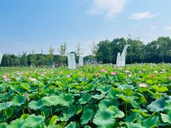 -嘉北郊野公园