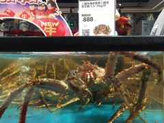 -盒马鲜生(皇庭广场店)