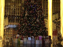 -The Lounge大堂酒廊·咖啡·沙拉·下午茶(金茂深圳JW万豪酒店)