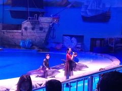 -华夏文旅海洋公园