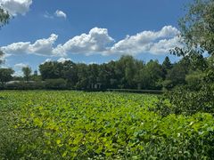 -西溪国家湿地公园