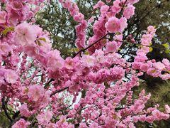 -火器营(地铁站)