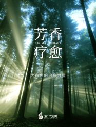 -东方美美容SPA会所