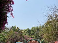 -瑞丽独树成林风景区