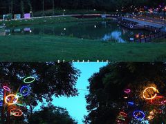 景点-大塘金香草谷