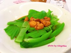 生炒水东芥菜-稻香酒家·33年老字号·港式粤菜(富邦中心店)